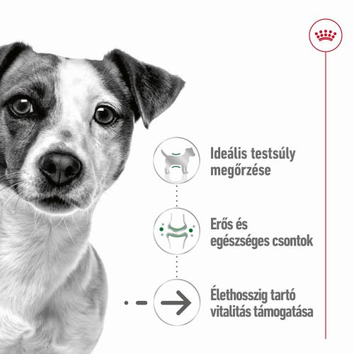 Royal Canin Mini Ageing 8+ konzerv  195 g