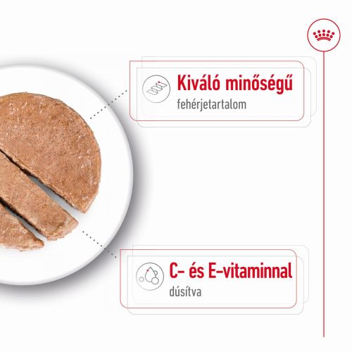 Royal Canin Medium Adult - közepes testű felnőtt kutya konzerv  410 g
