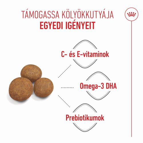 Royal Canin Maxi Puppy - nagytestű kölyök kutya száraz táp  3 kg