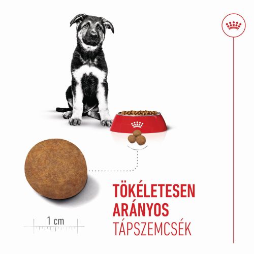 Royal Canin Maxi Puppy - nagytestű kölyök kutya száraz táp  12 kg