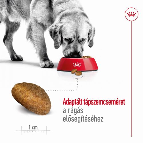 Royal Canin Maxi Adult - nagytestű felnőtt kutya száraz táp  3 kg