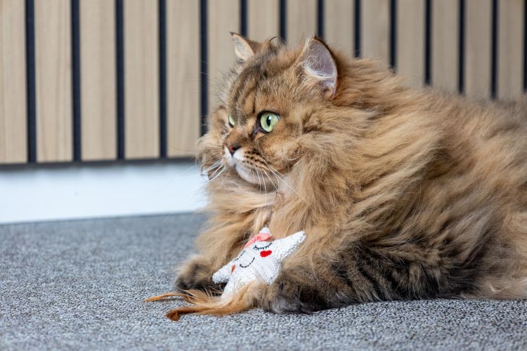 Flamingo macskajáték - Lovu csillag macskamentával  1 db