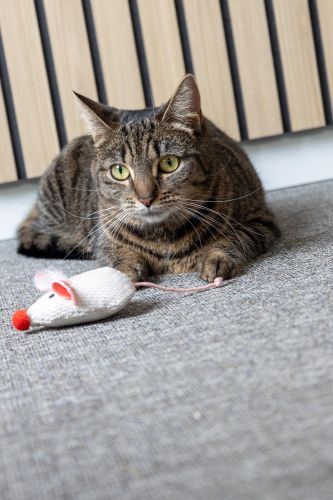 Flamingo macskajáték - Lovu egér macskamentával  1 db