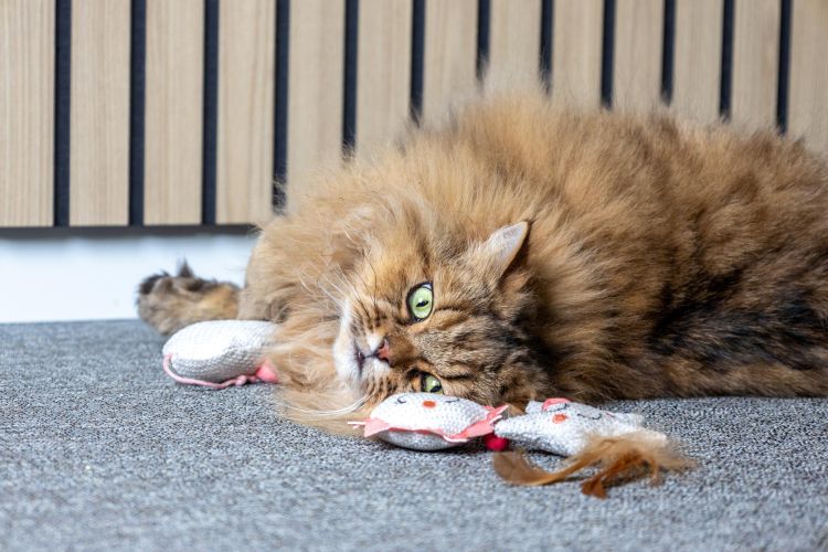 Flamingo macskajáték - Lovu napocska macskamentával  1 db