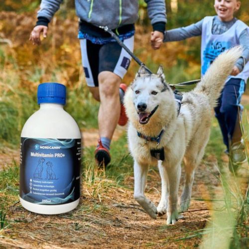 Nordcanin Multivitamin PRO+  100 ml
