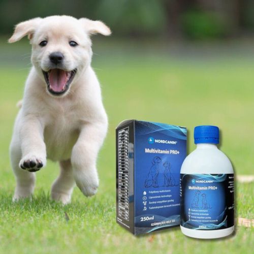 Nordcanin Multivitamin PRO+  250 ml