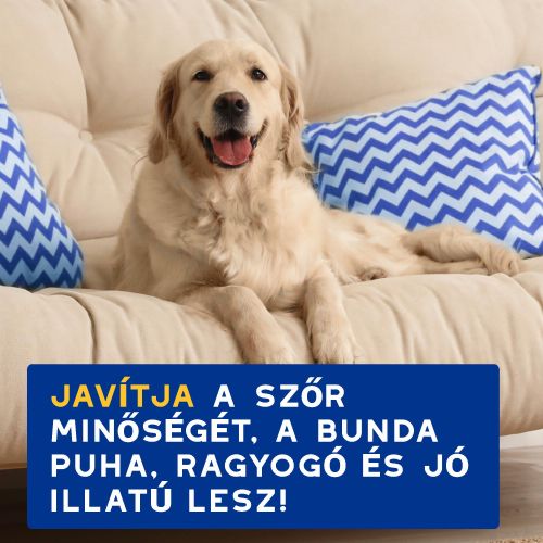 DOUXO SPA hidratáló sampon kutyák számára  250 ml