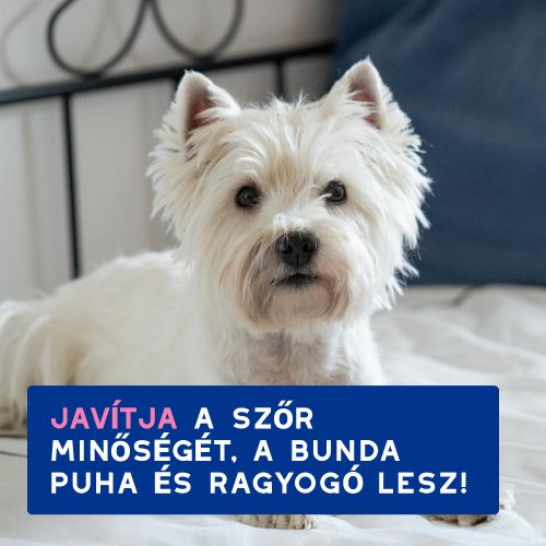 DOUXO SPA viszketéscsillapító sampon kutyák számára  250 ml