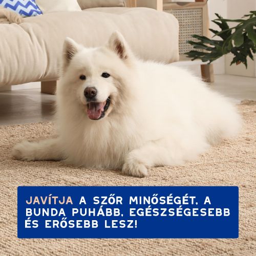 DOUXO SPA vedléscsökkentő sampon kutyák számára  250 ml