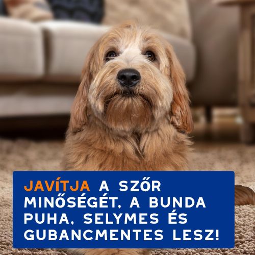 DOUXO SPA gubancoldó sampon kutyák számára  250 ml