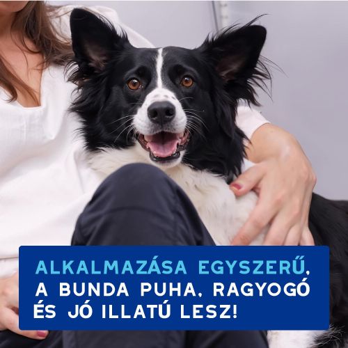 DOUXO SPA frissítő hab kutyák számára  150 ml