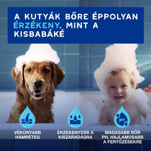 DOUXO SPA frissítő hab kutyák számára  150 ml