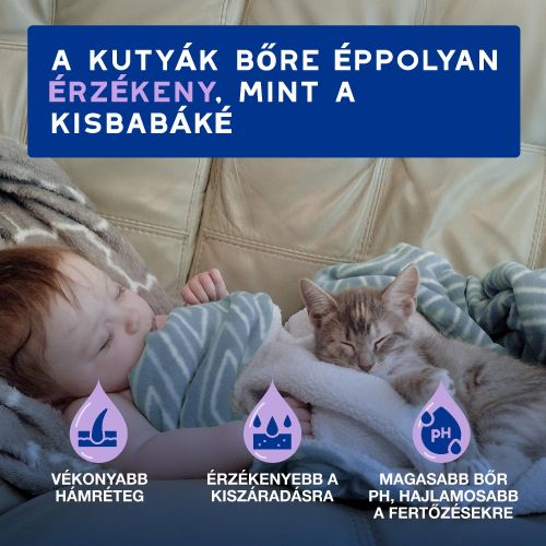 DOUXO SPA frissítő hab macskák számára  150 ml
