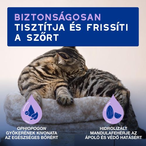 DOUXO SPA frissítő hab macskák számára  150 ml