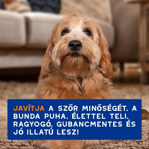 DOUXO SPA gubancoldó spray kutyák számára  295 ml