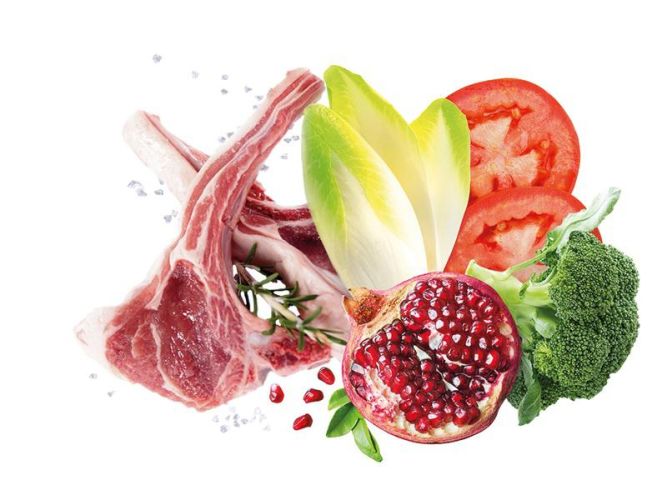 Exclusion Mediterraneo Monoprotein Lamb Medium Breed száraz kutyatáp  3 kg