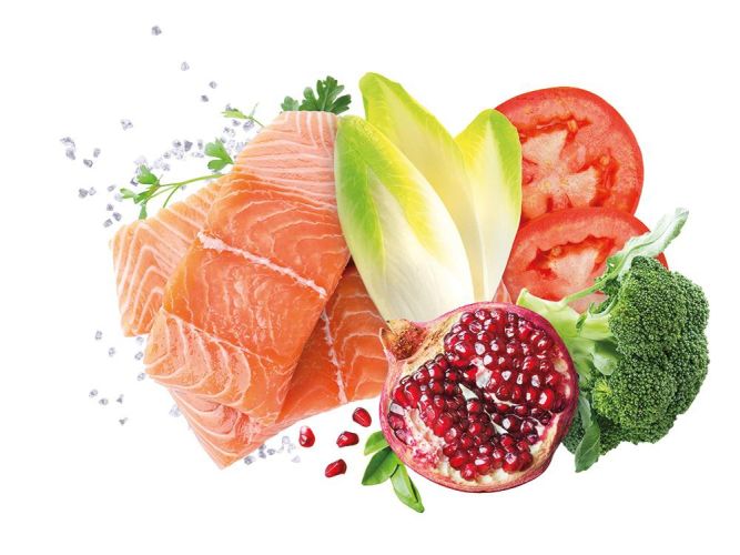 Exclusion Mediterraneo Monoprotein Salmon konzerv kutyák számára  400 g