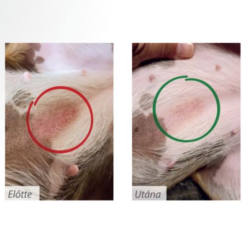 Pro-Nutrition Protect+ Dermato száraztáp kutyák számára  12 kg