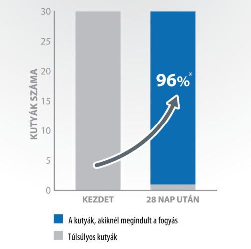 Pro-Nutrition Protect+ Obesite száraztáp kutyák számára  2 kg
