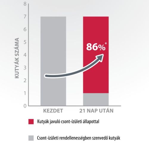 Pro-Nutrition Protect+ Osteo száraztáp kutyák számára  2 kg