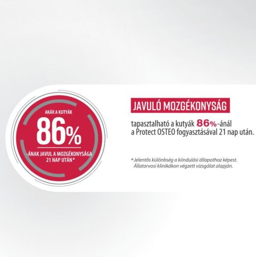 Pro-Nutrition Protect+ Osteo száraztáp kutyák számára  2 kg