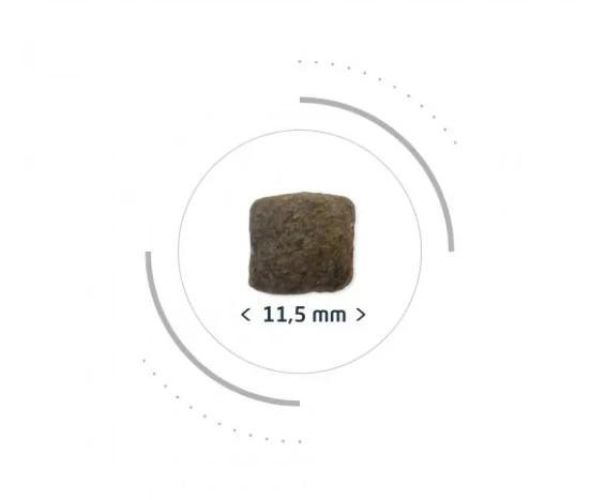 Pro-Nutrition Protect+ Senior+ száraztáp kutyák számára  12 kg