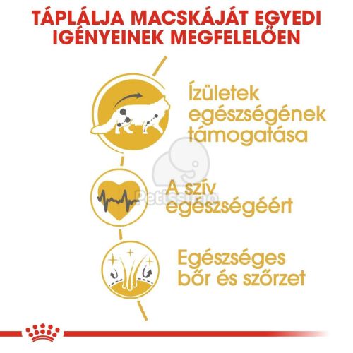 Royal Canin Maine Coon Adult - Maine Coon felnőtt macska száraz táp  10+2 kg