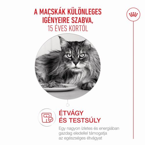 Royal Canin Ageing 15+ - száraztáp idős macskák számára  400 g