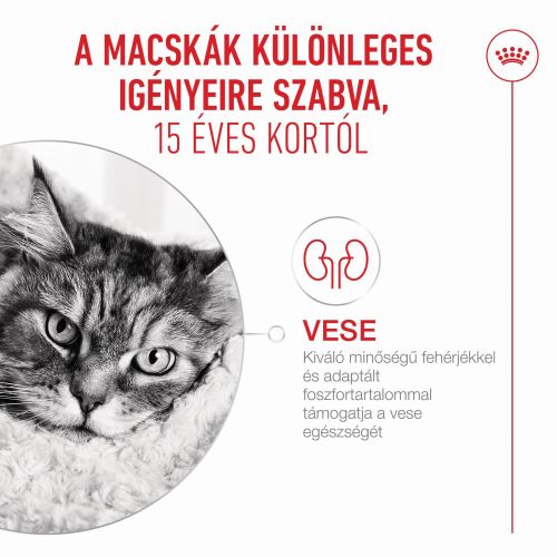 Royal Canin Ageing 15+ - száraztáp idős macskák számára  400 g