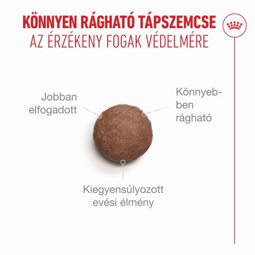 Royal Canin Ageing 15+ - száraztáp idős macskák számára  400 g