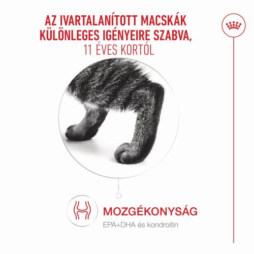 Royal Canin Ageing 11+ Sterilised - száraztáp idős, ivartalanított macskák számára  4 kg