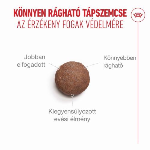 Royal Canin Ageing 11+ Sterilised - száraztáp idős, ivartalanított macskák számára  4 kg