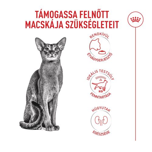 Royal Canin Fussy Exigent - száraztáp a húgyúti rendszer támogatására macskák számára  10 kg