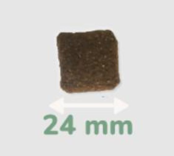 Pro-Nutrition PureLife Adult Maxi Fish  12 kg