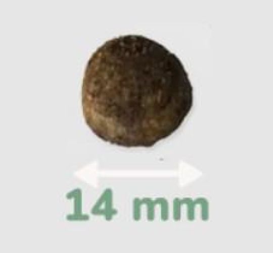 Pro-Nutrition PureLife Adult Medium Salmon  12 kg