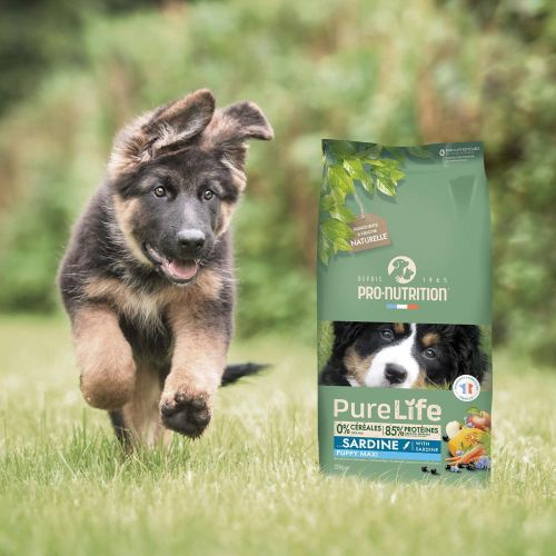 Pro-Nutrition PureLife Puppy Maxi  12 kg