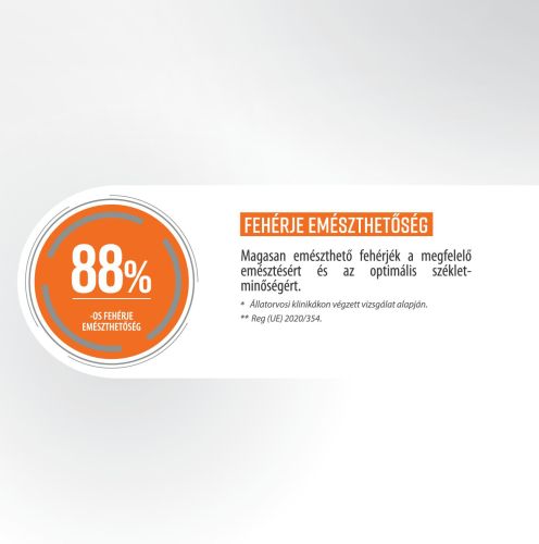 Pro-Nutrition Protect+ Digest száraztáp macskák számára  8 kg