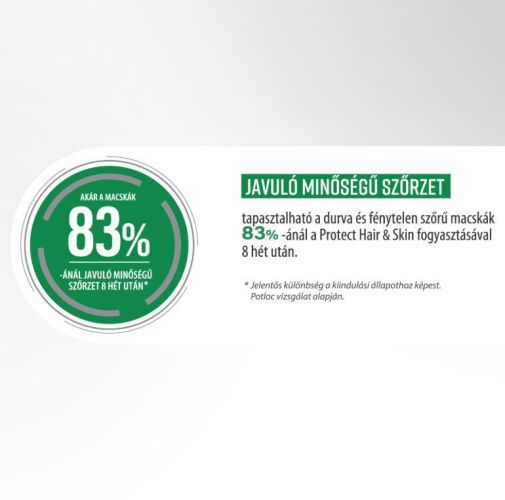 Pro-Nutrition Protect+ Hair&Skin száraztáp macskák számára  2 kg