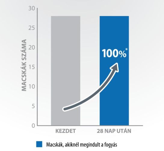 Pro-Nutrition Protect+ Obesite száraztáp macskák számára  8 kg