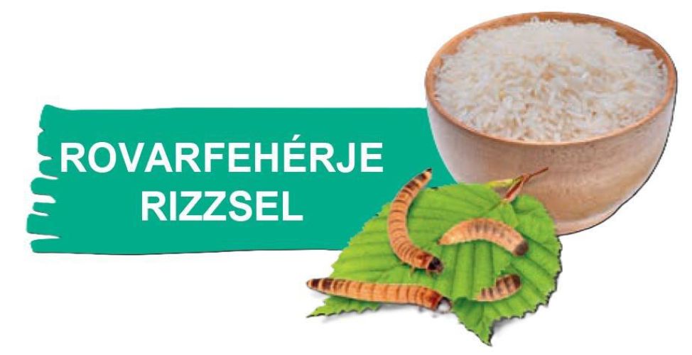 Green Petfood InsectDog Sensitive with Insects & Rice- szárazeledel rovarfehérjével és rizzsel kutyák számára  10 kg
