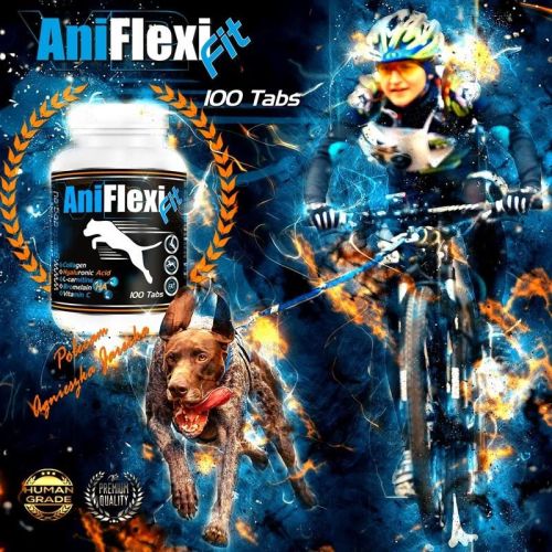 AniFlexi Fit V2 - ízületvédő tabletta megelőzésre kutyák számára 100 tabletta