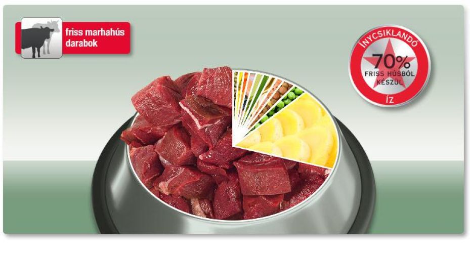 Platinum Adult Beef+Potato - szárazeledel kutyák számára  1.5 kg