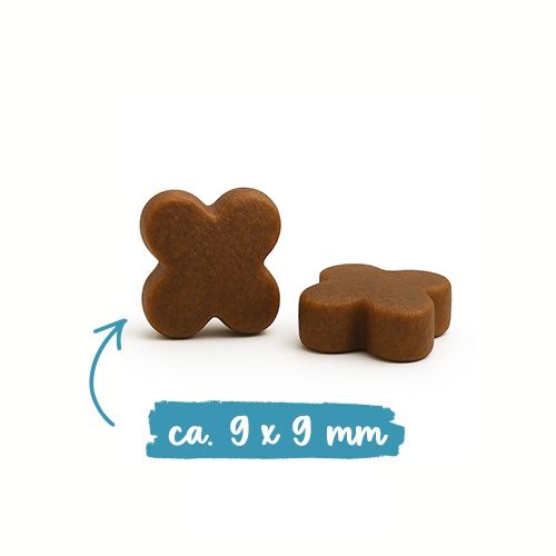 Bosch Sanabelle Kitten Huhn & Preiselbeeren  8 kg