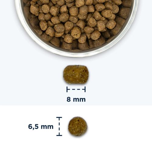 Eukanuba Life Care Cat Adult Hairball Control - szárazeledel szőrlabdaképződés csökkentésére felnőtt macskák számára  10 kg