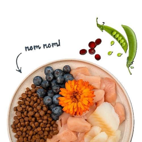 Bosch Sanabelle Adult Forelle  8 kg