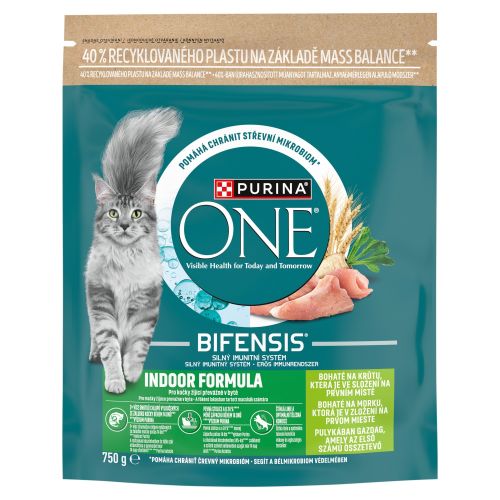 Purina ONE Bifensis Adult Indoor Turkey  750 g