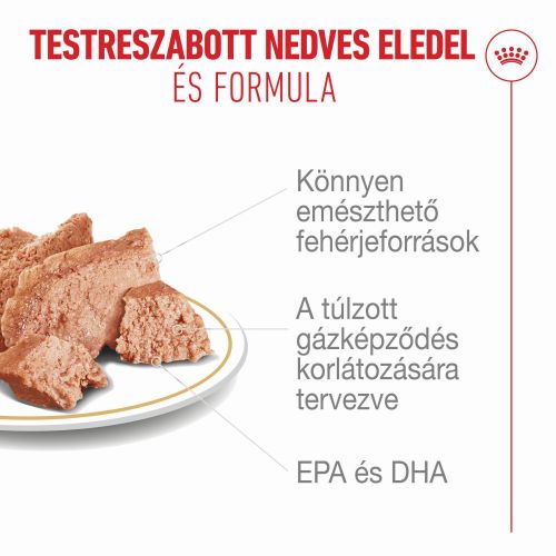 Royal Canin French Bulldog - Francia bulldog felnőtt kutya nedves táp  85 g