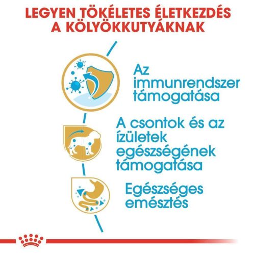 Royal Canin Dachshund Puppy - Tacskó kölyökkutya száraz táp  1.5 kg