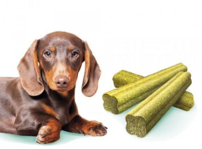 Brit Care Mini Treats Fresh Breath  120 g
