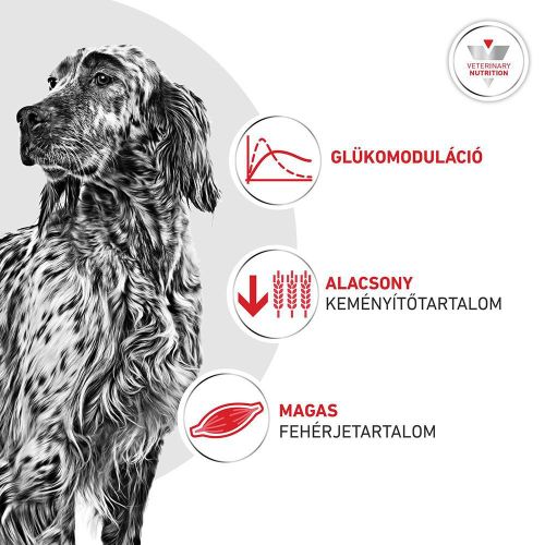 Royal Canin Glycobalance - szárazeledel a glükózellátás szabályozására kutyák számára  1.5 kg